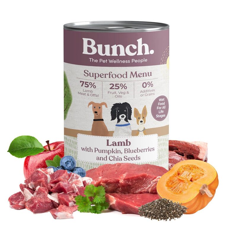 Влажный корм с ягнятиной, тыквой и черникой