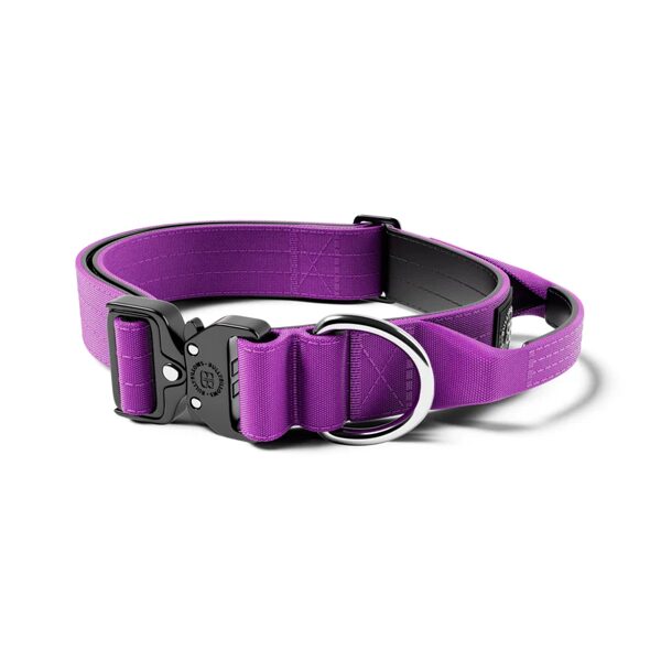 4cm Combat® Collar | With Handle & Rated Clip - Purple