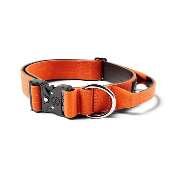 4cm Combat® Collar | With Handle & Rated Clip - Orange