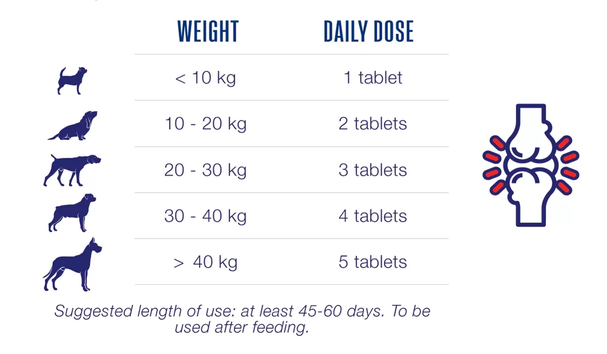 strong-joints-and-bones-dosage.webp